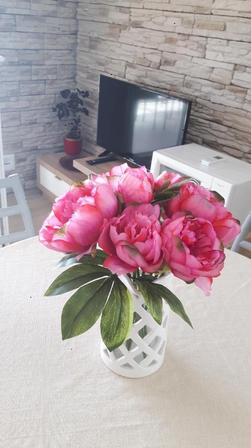 Seaview & Balcony Apartment Petra Jadrija Εξωτερικό φωτογραφία